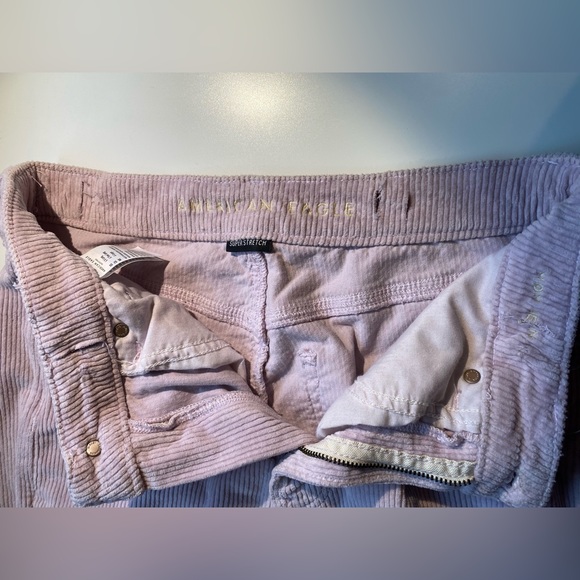 American Eagle Corduroy Mom Pants, Pastel Pinn, Size 6, X-long - Picture 4 of 4